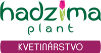 Mobile Logo
