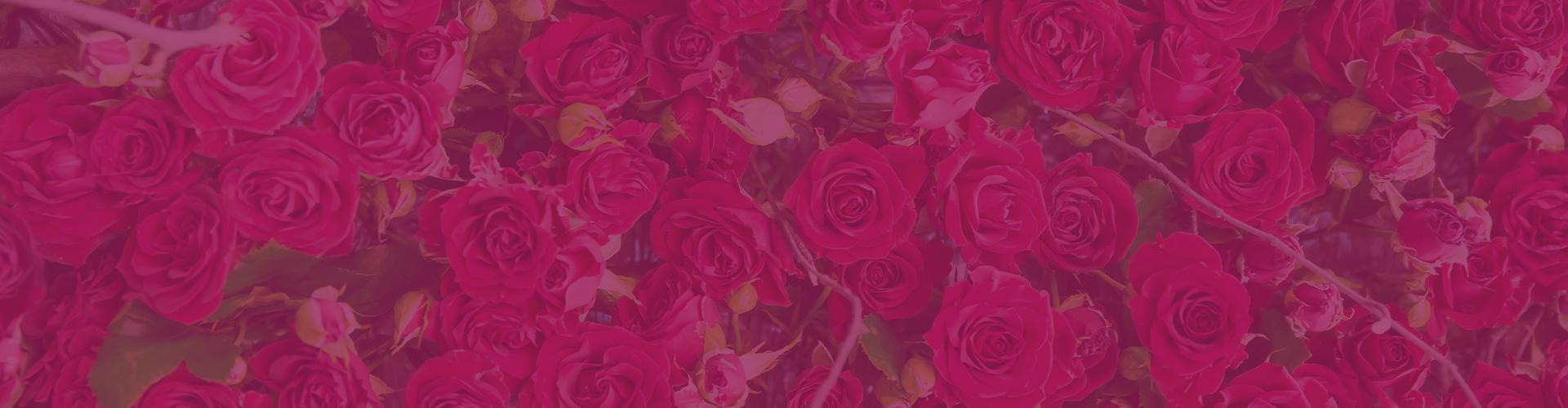 nasa-ponuka-header-1